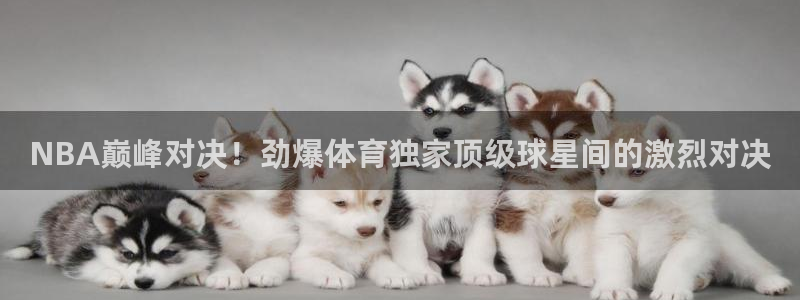 西瓜看球在线