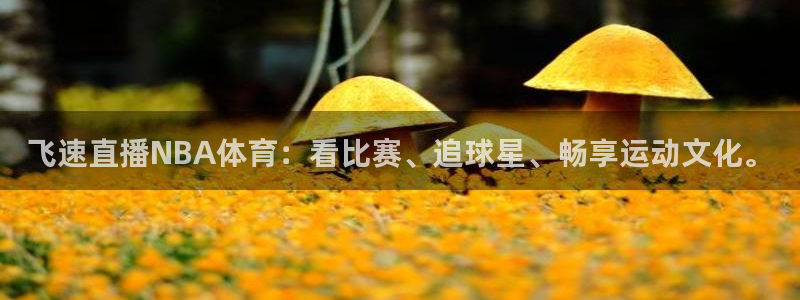 西瓜看球直播app