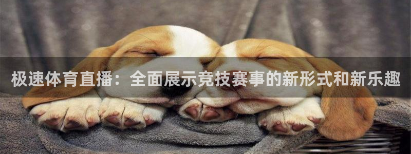 西瓜看球足球直播