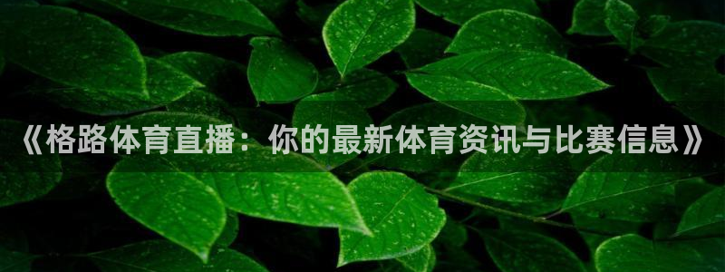 体育新闻