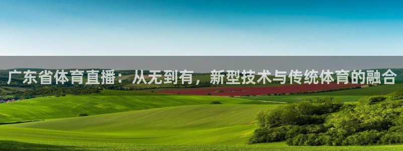 体育新闻