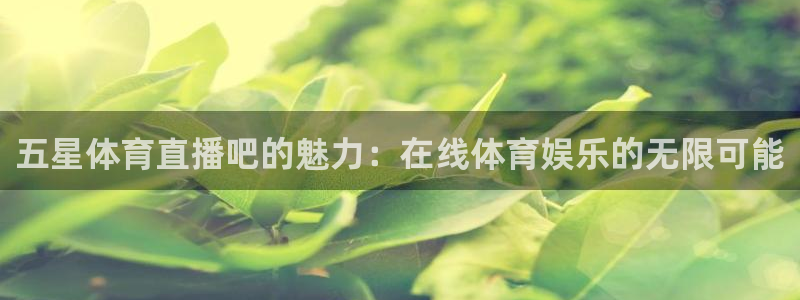 西瓜看球免费直播