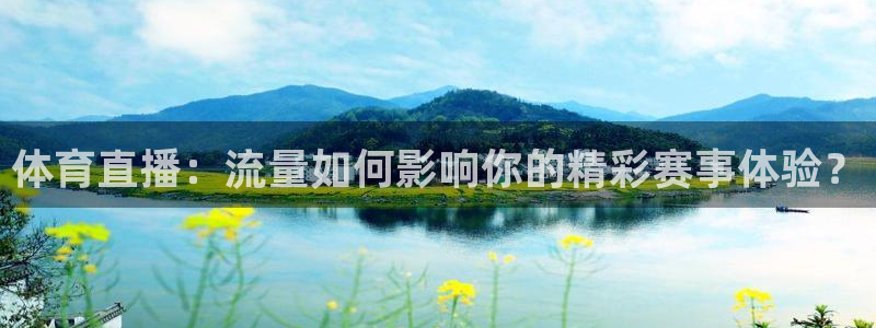 西瓜看球看不了